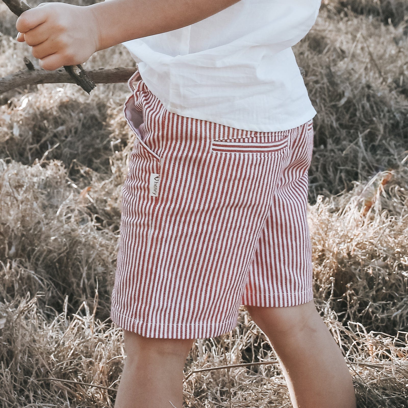 Love Henry Bottoms Boys Dress Shorts - Red Pinstripe