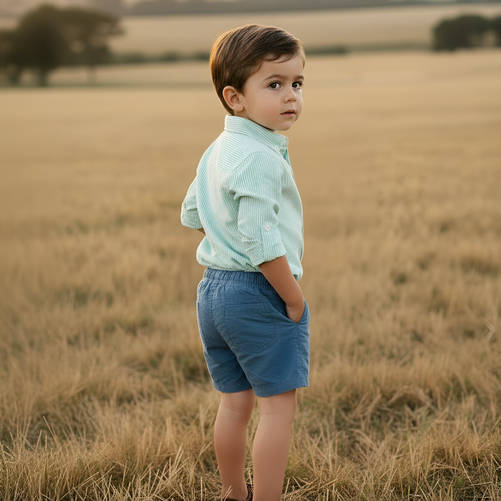 Boys Sonny Shorts - Blue Linen 26