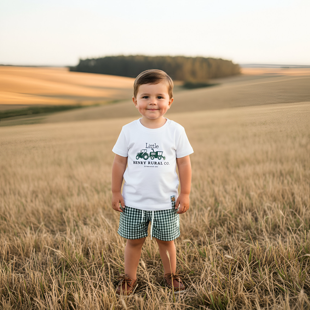 Boys Sonny Shorts - Green Gingham 26