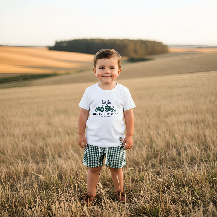 Boys Sonny Shorts - Green Gingham 26