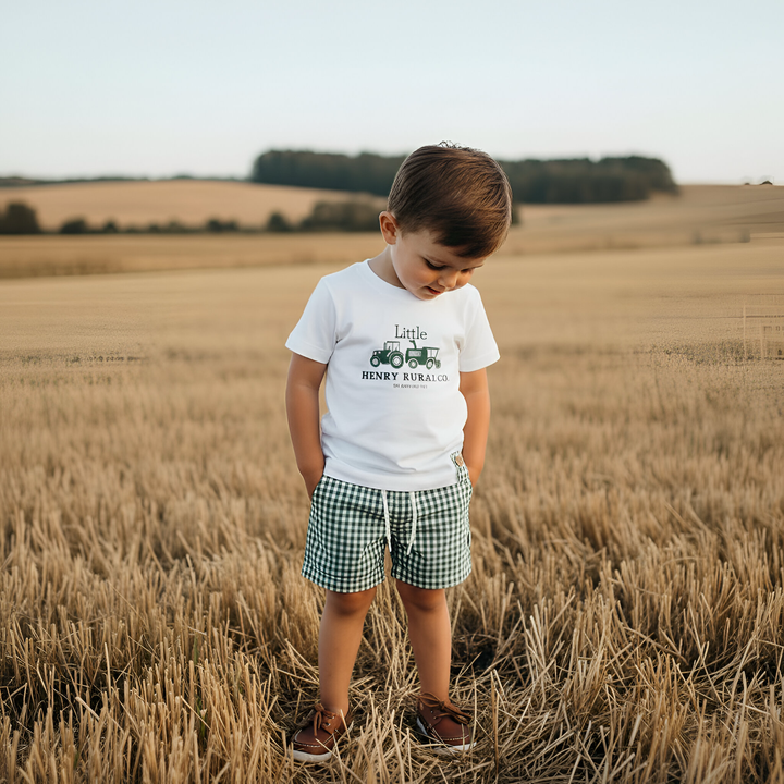 Boys Sonny Shorts - Green Gingham 26