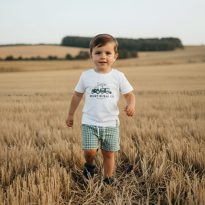 Boys Sonny Shorts - Green Gingham 26