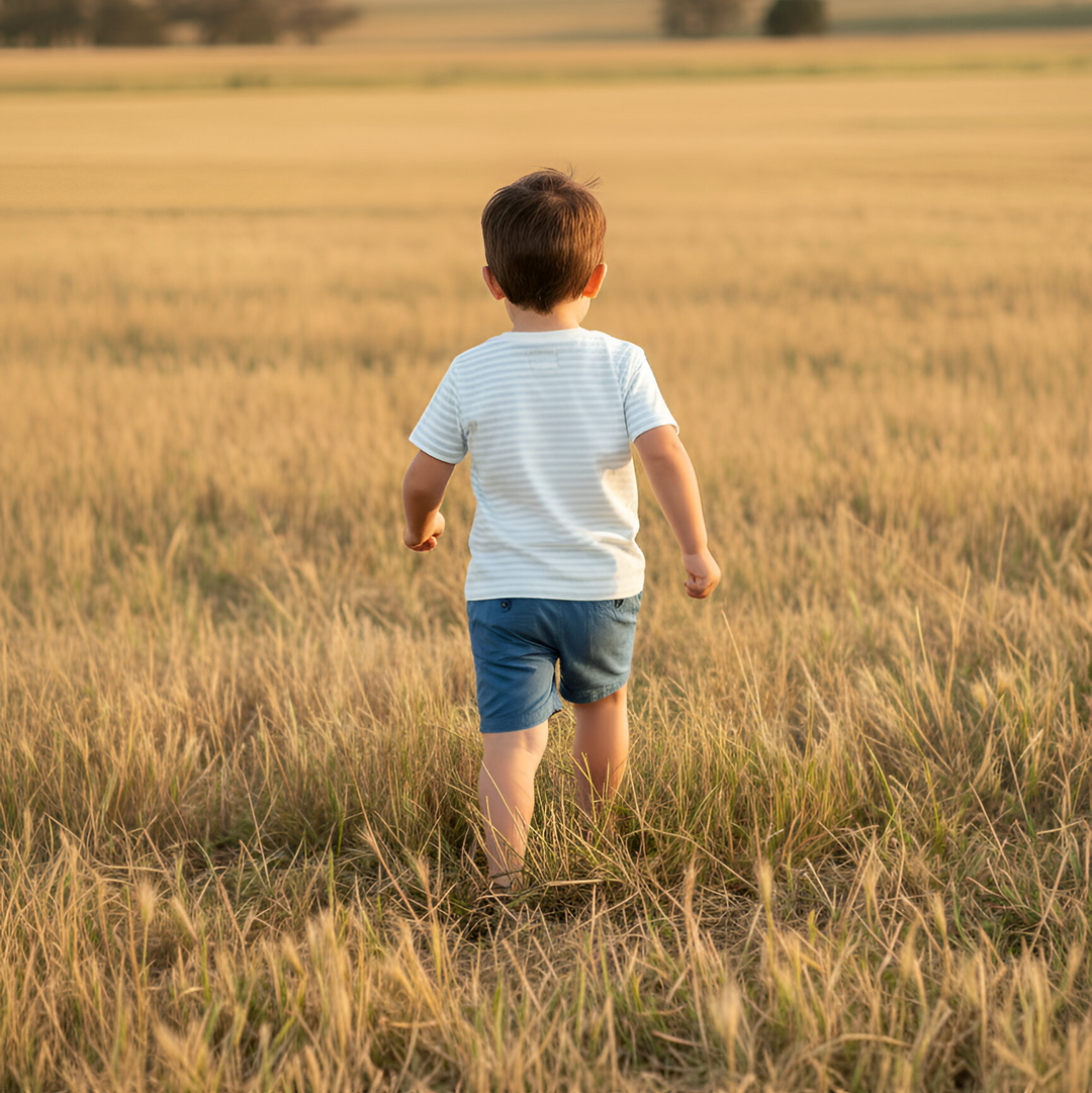 Boys Henry Rural Co Tee - Light Blue Stripe 26