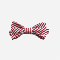 Love Henry Accessories One Size Boys Bow Tie - Red Pinstripe