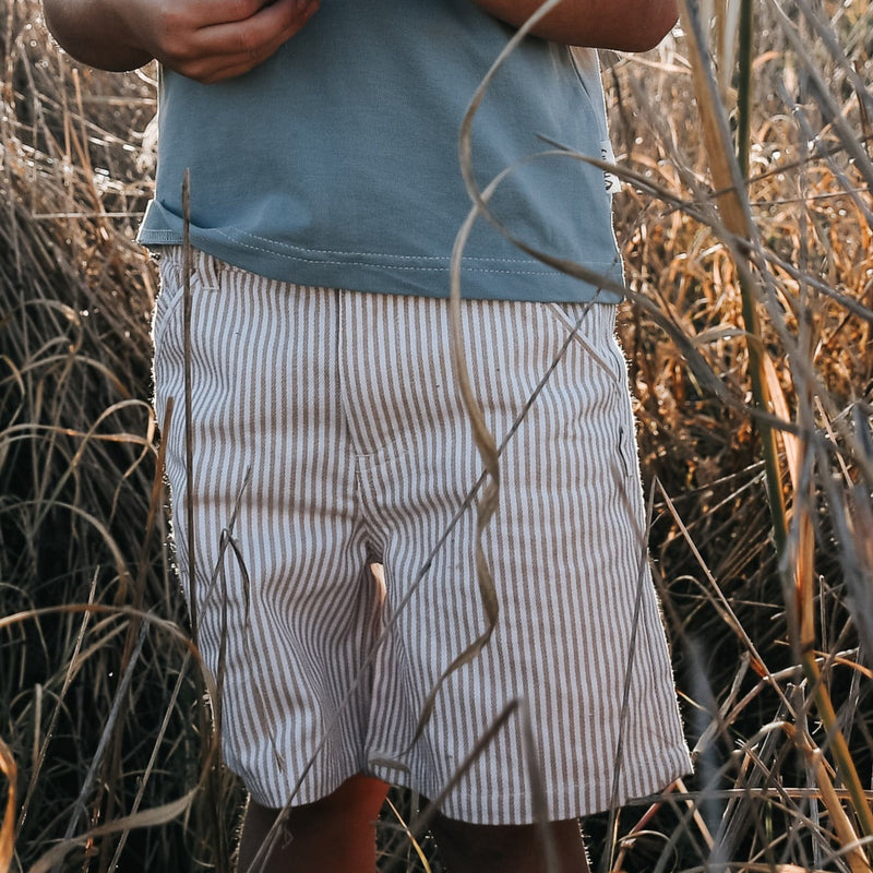 Boys Dress Shorts - Beige Pinstripe