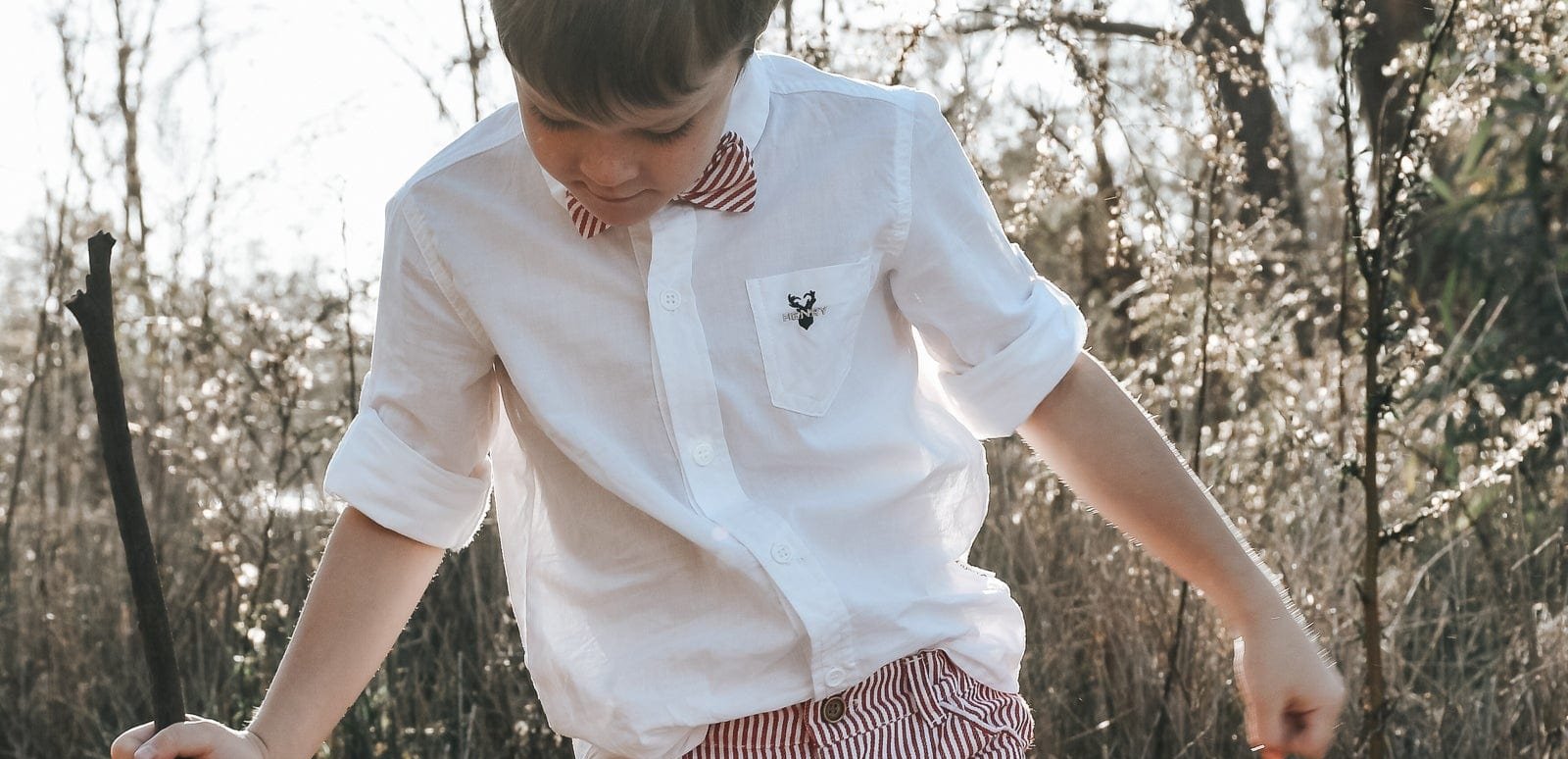 Love Henry Bottoms Boys Dress Shorts - Red Pinstripe