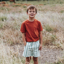 Load image into Gallery viewer, Love Henry Bottoms Boys Sonny Shorts - Large Blue / White Stripe
