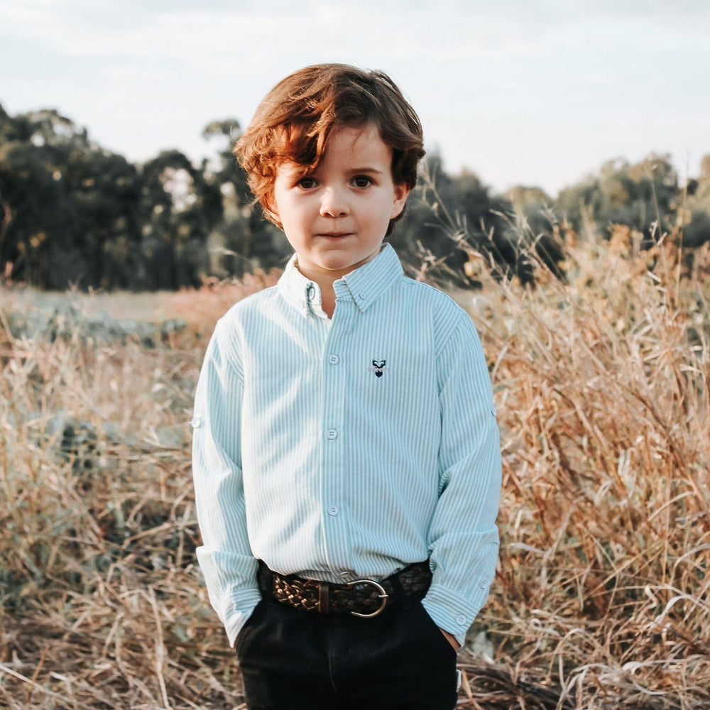 Love Henry Tops Boys Dress Shirt - Green Pinstripe