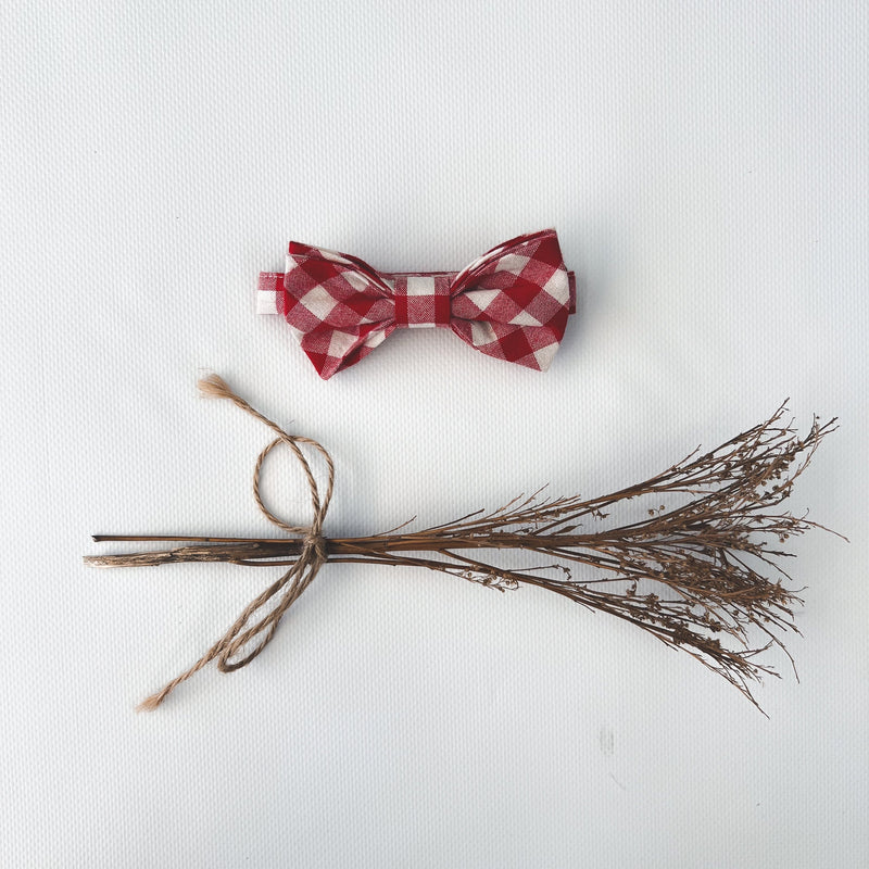 Boys Bow Tie - Large Red Check